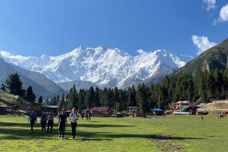 Fairy Meadows